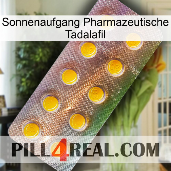 Sunrise Pharmaceutical Tadalafil new11